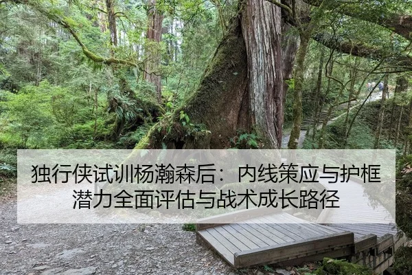 独行侠试训杨瀚森后：内线策应与护框潜力全面评估与战术成长路径