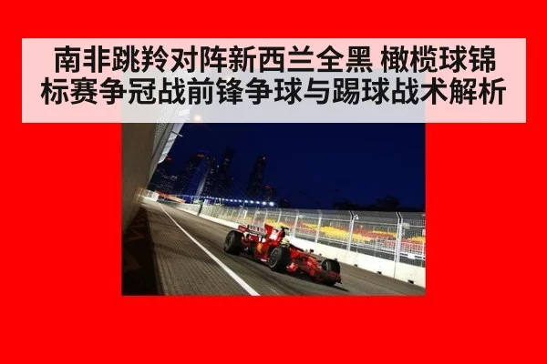 南非跳羚对阵新西兰全黑 橄榄球锦标赛争冠战前锋争球与踢球战术解析